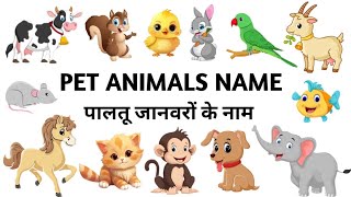 pet animals name in English and Hindi/ pet animals name/ पालतू जानवरों के नाम/ (Brajpriyakidsclass)