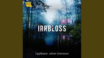 Chapter 16.8 & Chapter 17.1 - Irrbloss