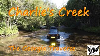 Overlanding Georgia | Charlie's Creek Trail near Clayton, GA | The Georgia Traverse