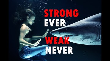 the ULYSSES PACT || Boost Productivity