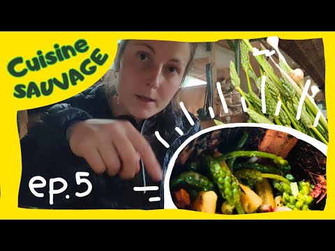 Je cuisine des PLANTES SAUVAGES dans ma Vélo-Roulotte ..