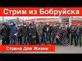 Бобруйск. Встреча с подписчиками Страна Для Жизни