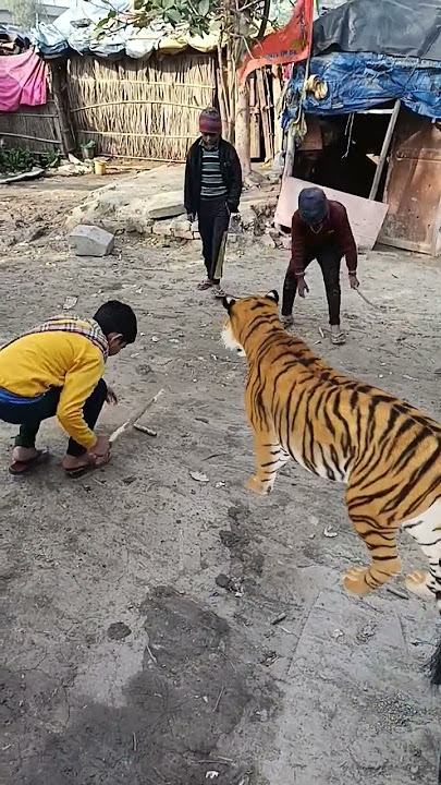 Llll