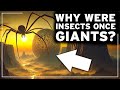 What was the earth like in the age of giant insects  the most amazing prehistoric secrets  docu