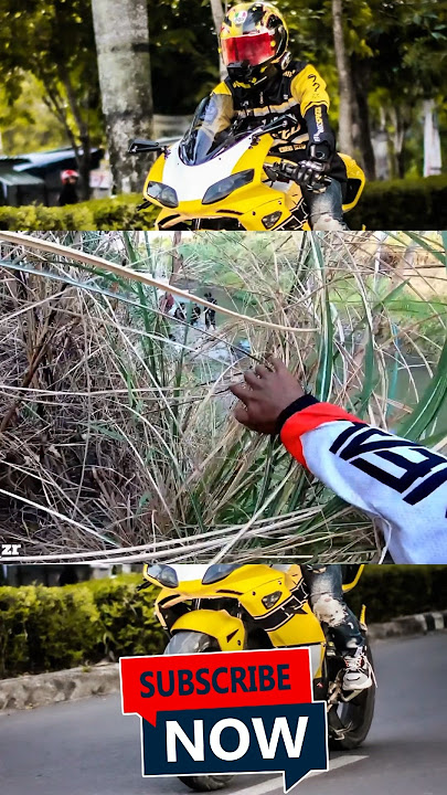 ALI ZR BARENG MONICA LIAT 3 vs 1 DI PINGGIR SUNGAI #youtubeshorts #afancvk #shorts