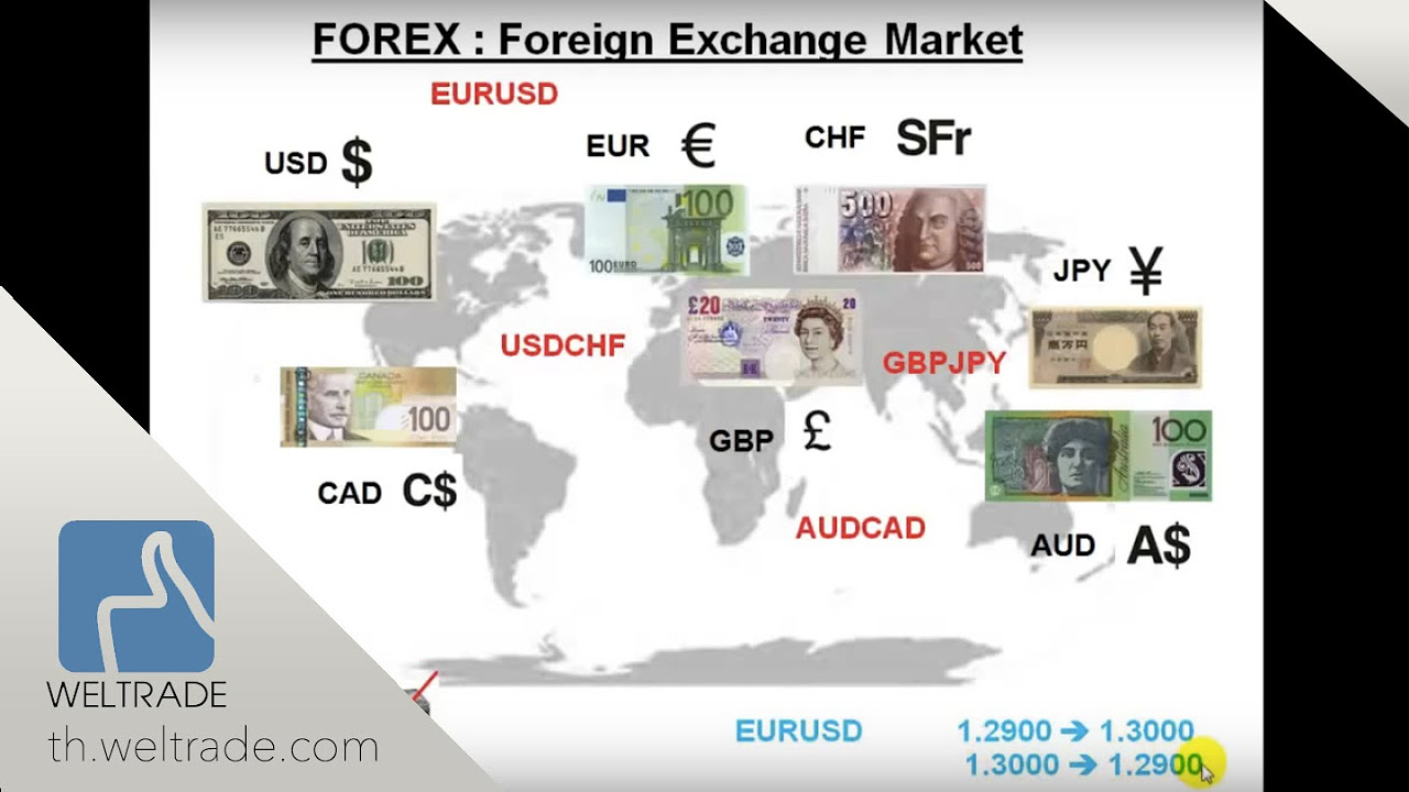 forex คืออะไร  2022  What is FOREX ( FOREX คืออะไร )