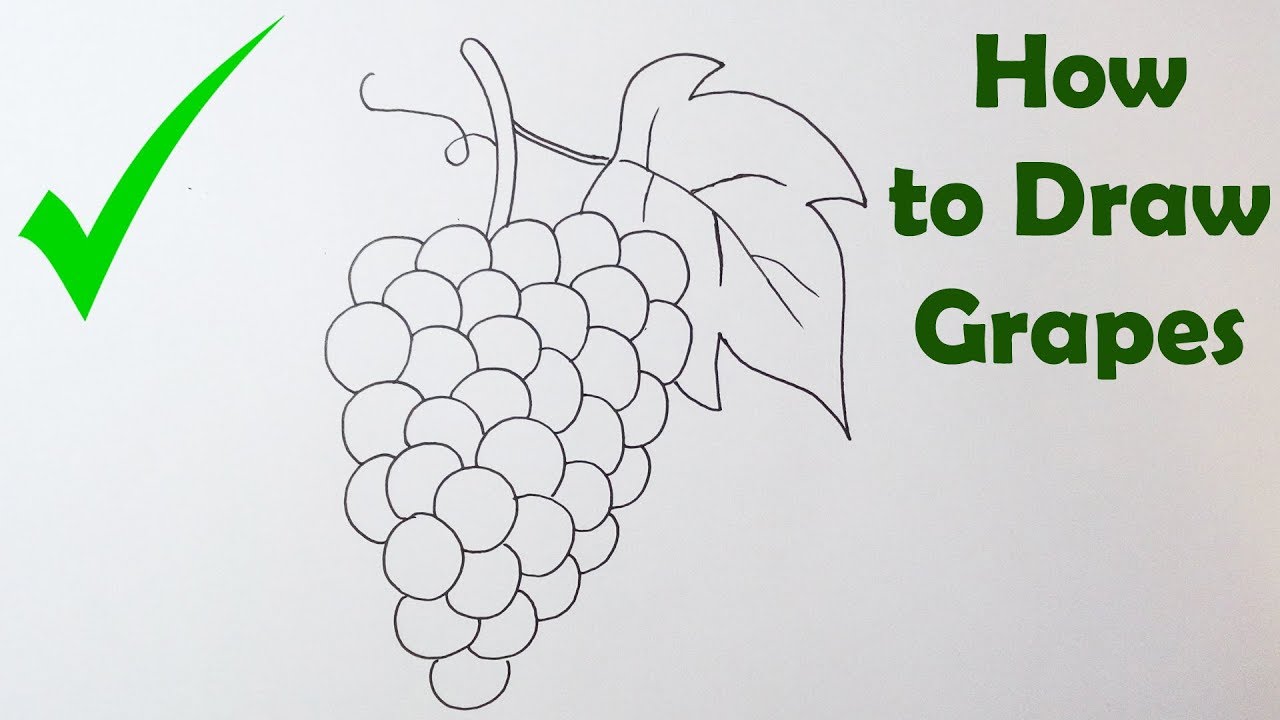 How to Draw Grapes - Easy Drawing Tutorial For Kids