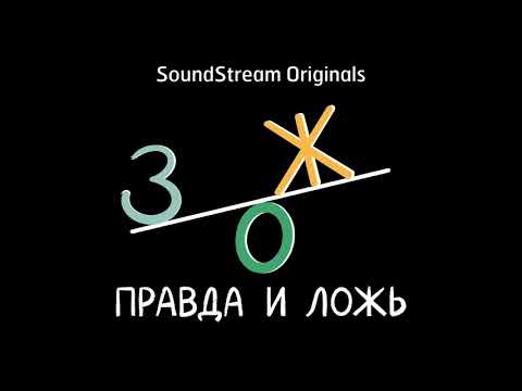ЗОЖ в позе лотоса (гость – йог и врач-терапевт Дарья Мошкова)