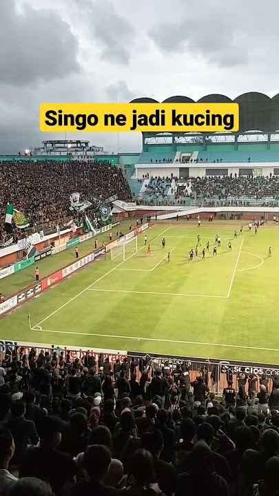 Singo ne jadi Kucing, pyswar Pss vs Arema Fc