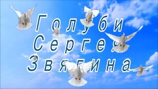 Николаевские голуби и ястреб (30 ноября 2023)
