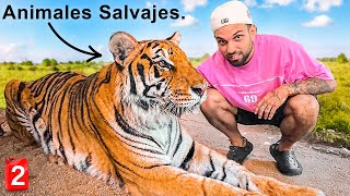 Pasé 2 Horas Encerrado con un TIGRE