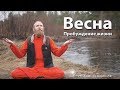 Пробуждение жизни - Весна