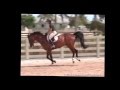 Showjumpercliniccom presents beezie madden riding  lecturing danny boy sample 7072007