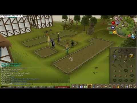 farming runescape release date farming runescape release date