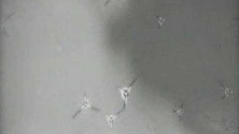 Dot.Hack//Gu Vol.3//Redemption Movie 11 Pluse