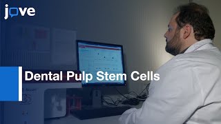 Dental Pulp Stem Cells Neuronal Differentiation | Protocol Preview