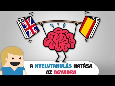 Videó: Pályázati Felhívás: Hogyan Tanultál El Egy Nyelvet - Matador Network