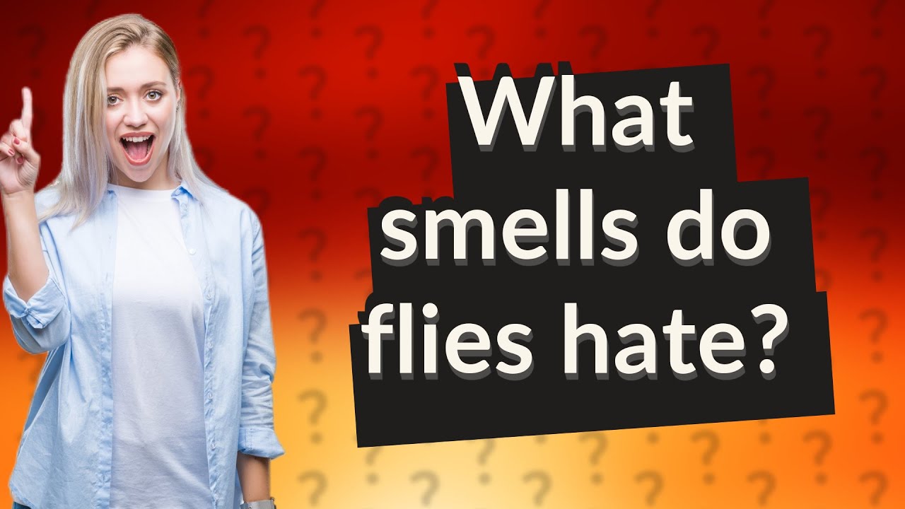 What smells do flies hate? YouTube