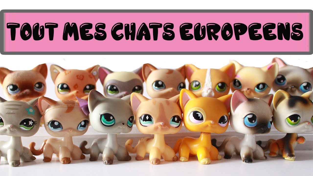 Petshop Tout Mes Chats Europeens Version Recente Youtube