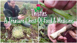 The Thistles - Forgotten Wild Food & Medicine 🌱 by Home Is Where Our Heart Is 42,438 views 1 year ago 14 minutes, 59 seconds