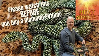 Cool Stuff Nobody Tells You About Diamond Pythons & NonFeeding Baby Green Tree Pythons