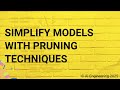 Simplify Models with Pruning Techniques