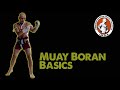 Muay Thai elbow techniques: training and fighting applications