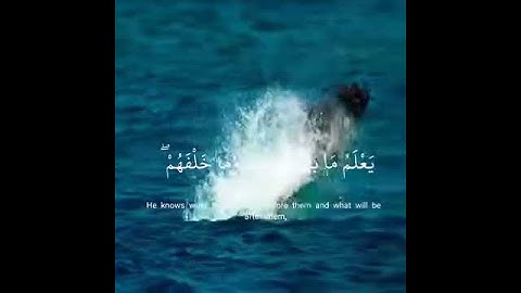 آية الكرسي بصوت الشيخ "اسلام صبحي" تلاوة مؤثرة