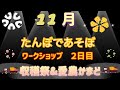 たんぼであそぼ　ワークショップ　１１月　２日目　収穫祭&愛農かまど