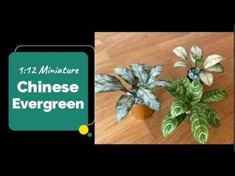 1:12 Scale Chinese Evergreen Plant (Free Template)