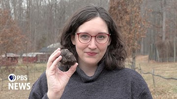 How Americans are growing truffles and succeeding