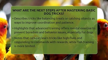 What Are The Next Steps After Mastering Basic Dog Tricks? - PetGuide360.com