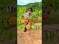 Survival Skills SMART Idea! 🍧 Buried a Jelly Cup… What Grew Overnight? 😱🌱 #shorts
