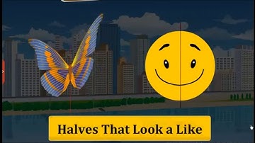 Halves That Look A Like, Class 4 Maths SSC | Digital Teacher