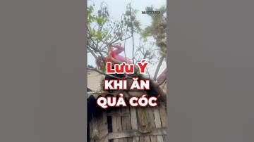 Lưu Ý Khi Ăn Quả Cóc, Những Người Này Nên Cẩn Thận! |DrDiệpDung #tips  #quảcóc #shorts