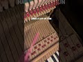 Piano Tuning And Fixing A Broken Key Piano Tuning And Fixing A Broken Key