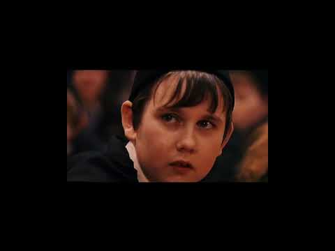Harry Potter à l école des sorciers, Nicolas Flamel