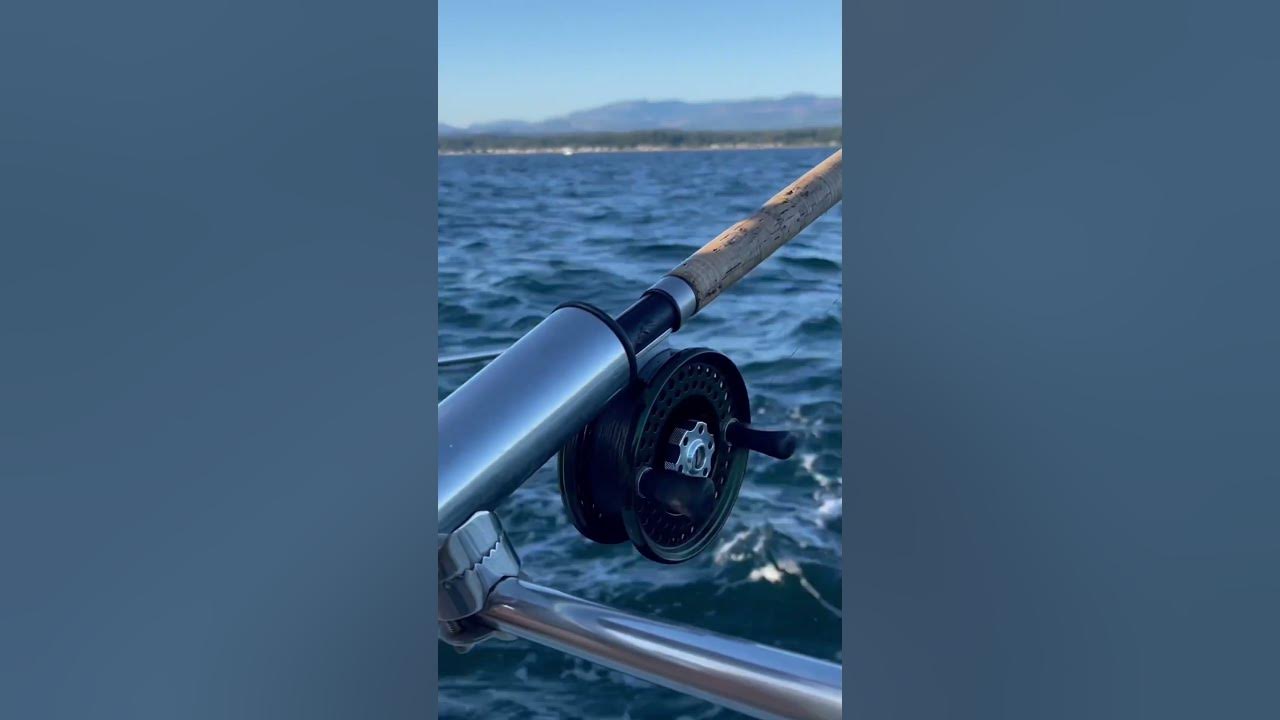 What is the best reel for salmon fishing? 