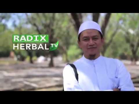 Video: 7 Rumpai Yang Sihat