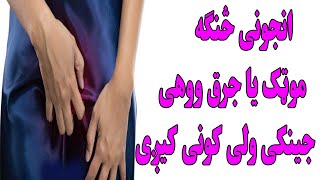 انجونی څنګه موټک یا جرق ووهی جینکی ولی کونی کیږی