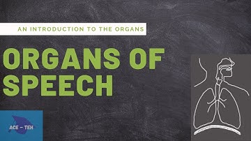 Organs of Speech | An Introduction to the Organs | Speech Mechanism | Phonetics |  HSA PSC Exam