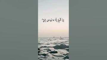 سورة يونس من آية ١١ إلى آية ٢٠