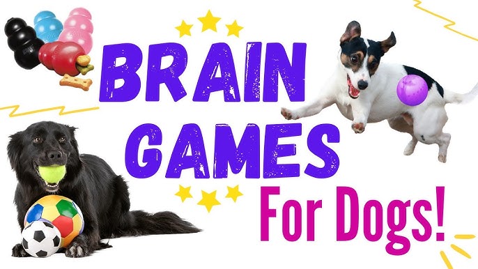 Dog Mental Stimulation, Mind, Brain Games, Physical Training & Mental  Exercise for Dogs: Canine Enrichment Activities Games, Positive  reinforcement, Bonding, Behavior Modification for Dogs & Puppies by Dr.  Casadei Millano