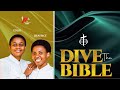 Dive the bible  2  king david