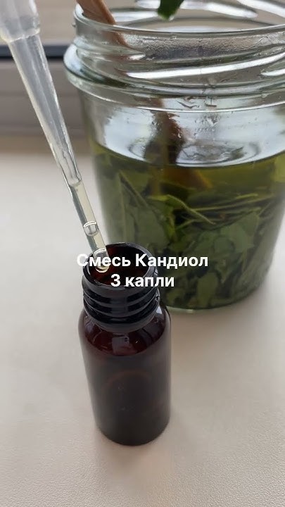 Капли в нос лавровые. При гайморите, рините - YouTube