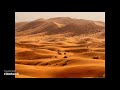 Desert Rose Zuma Dionys Remix Desert Rose Zuma Dionys Remix