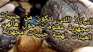 النيازك اشوندريت تحت المجهر احجار كريمة في البنية التكوينية Meteorites Achondrites