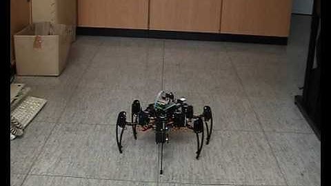 Hexapod sequencer walk test