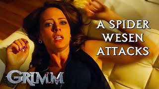 A Deadly Wesen Dating with a Tarantella | Grimm