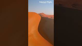 Internal Flight || Estas Tonne & Paganel Studios #shorts